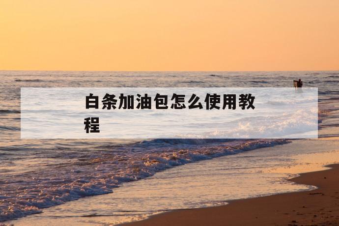 白条加油包怎么使用教程 第1张 白条加油包怎么使用教程 第1张
