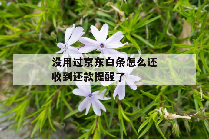 没用过京东白条怎么还收到还款提醒了 第1张 没用过京东白条怎么还收到还款提醒了 第1张