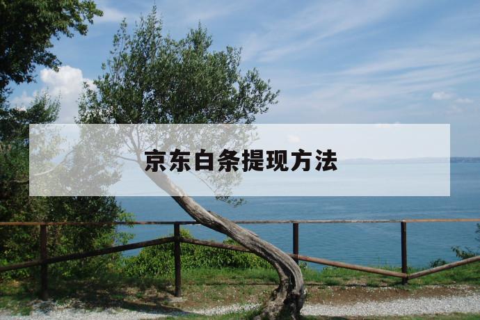 京东白条提现方法 第1张 京东白条提现方法 第1张