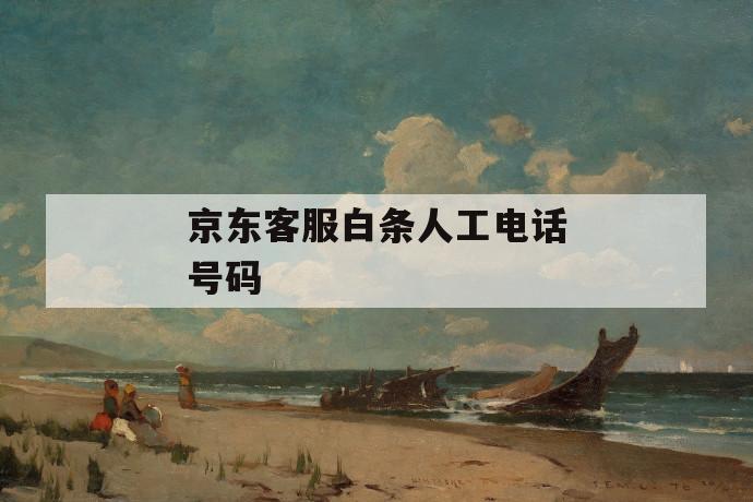 京东客服白条人工电话号码 第1张 京东客服白条人工电话号码 第1张
