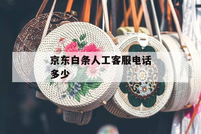 京东白条人工客服电话多少 第1张 京东白条人工客服电话多少 第1张
