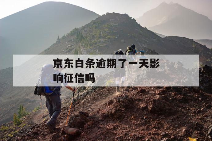 京东白条逾期了一天影响征信吗 第1张 京东白条逾期了一天影响征信吗 第1张