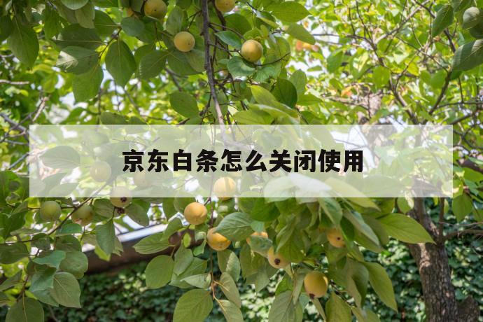 京东白条怎么关闭使用 第1张 京东白条怎么关闭使用 第1张