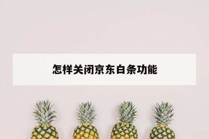 怎样关闭京东白条功能 第1张 怎样关闭京东白条功能 第1张
