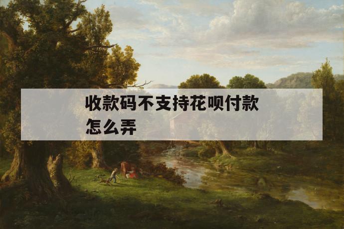 收款码不支持花呗付款怎么弄 第1张 收款码不支持花呗付款怎么弄 第1张