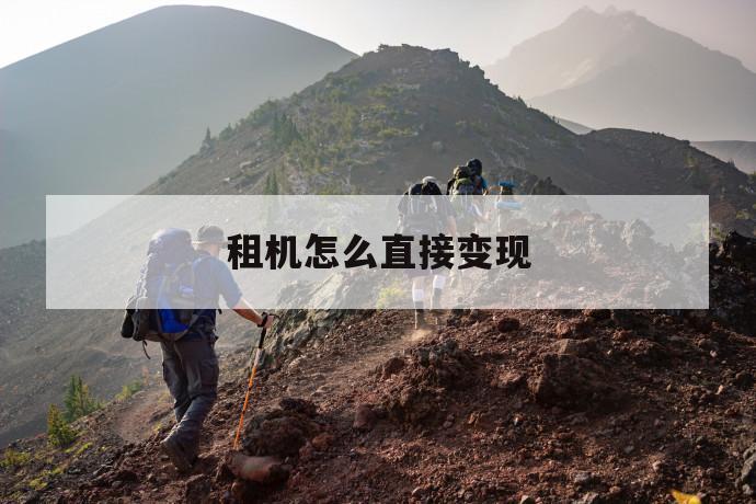 租机怎么直接变现 第1张 租机怎么直接变现 第1张