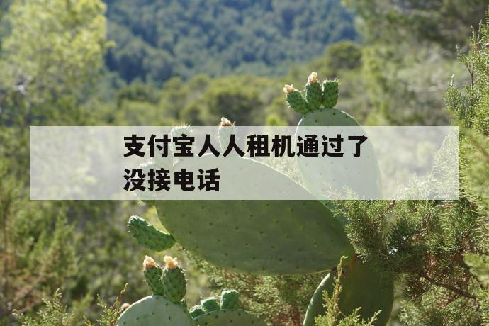 支付宝人人租机通过了没接电话 第1张 支付宝人人租机通过了没接电话 第1张