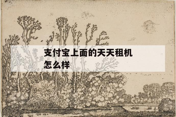 支付宝上面的天天租机怎么样 第1张 支付宝上面的天天租机怎么样 第1张