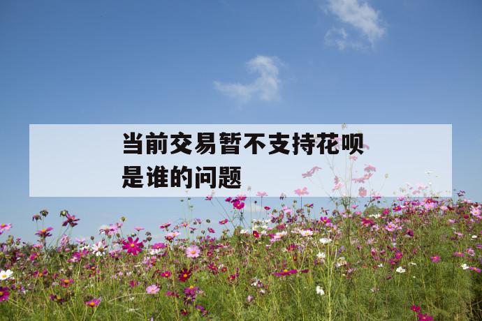 当前交易暂不支持花呗是谁的问题 第1张 当前交易暂不支持花呗是谁的问题 第1张