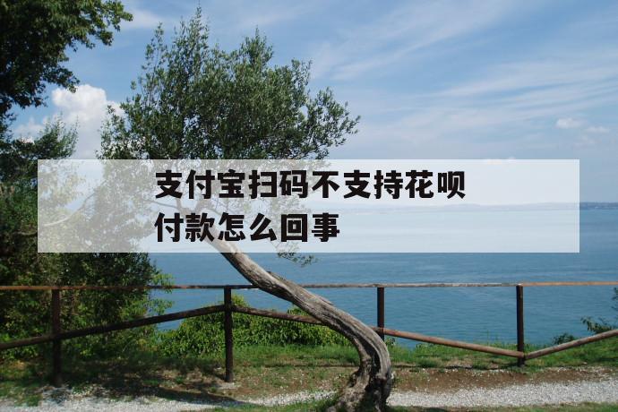 支付宝扫码不支持花呗付款怎么回事 第1张 支付宝扫码不支持花呗付款怎么回事 第1张
