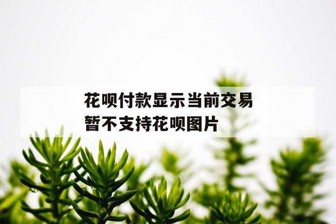 花呗付款显示当前交易暂不支持花呗图片 第1张 花呗付款显示当前交易暂不支持花呗图片 第1张