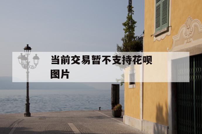 当前交易暂不支持花呗图片 第1张 当前交易暂不支持花呗图片 第1张
