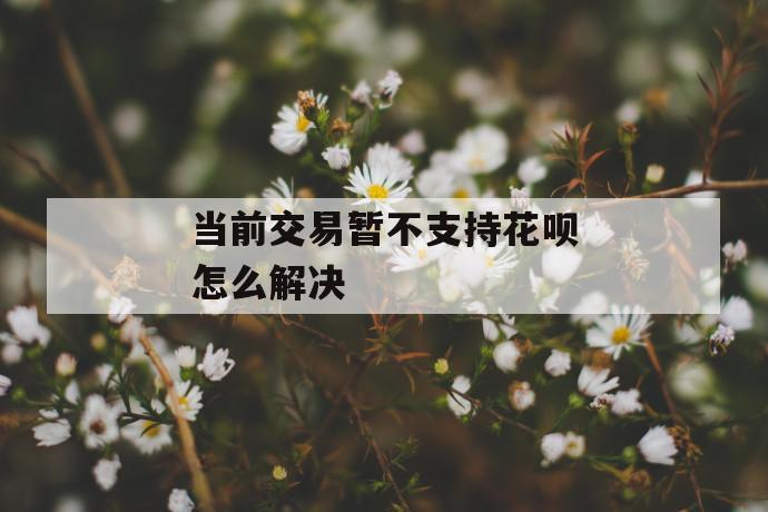当前交易暂不支持花呗怎么解决 第1张 当前交易暂不支持花呗怎么解决 第1张