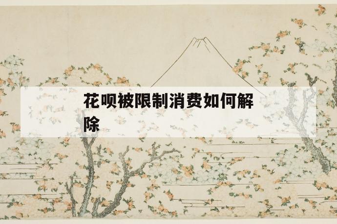花呗被限制消费如何解除 第1张 花呗被限制消费如何解除 第1张