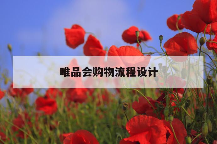 唯品会购物流程设计 第1张 唯品会购物流程设计 第1张