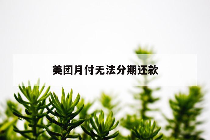 美团月付无法分期还款 第1张 美团月付无法分期还款 第1张
