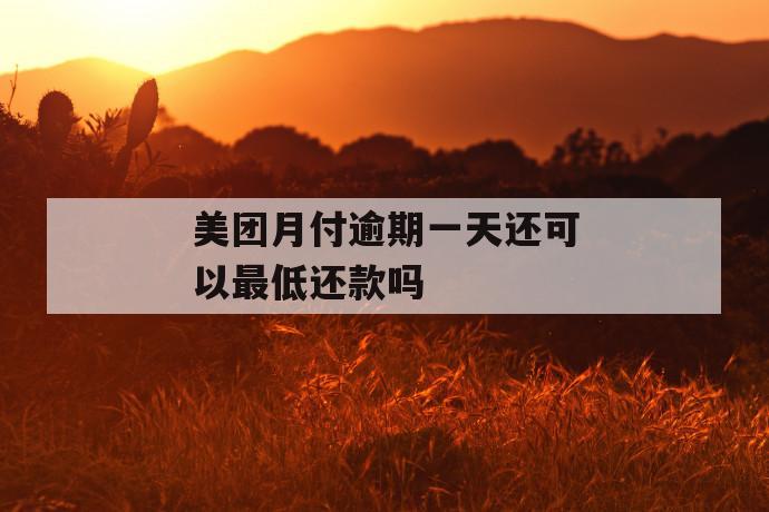 美团月付逾期一天还可以最低还款吗 第1张 美团月付逾期一天还可以最低还款吗 第1张