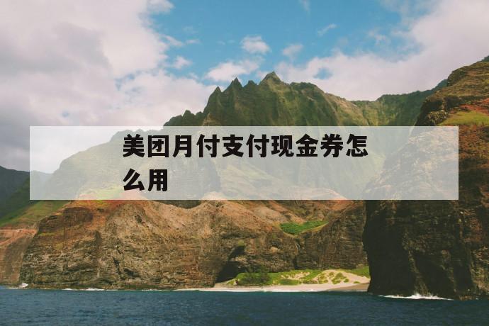 美团月付支付现金券怎么用 第1张 美团月付支付现金券怎么用 第1张