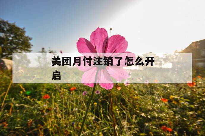 美团月付注销了怎么开启 第1张 美团月付注销了怎么开启 第1张