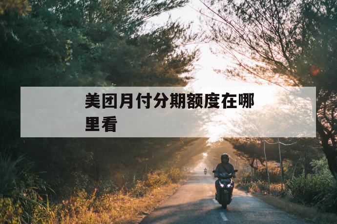 美团月付分期额度在哪里看 第1张 美团月付分期额度在哪里看 第1张