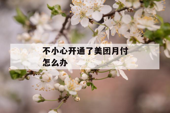 不小心开通了美团月付怎么办 第1张 不小心开通了美团月付怎么办 第1张