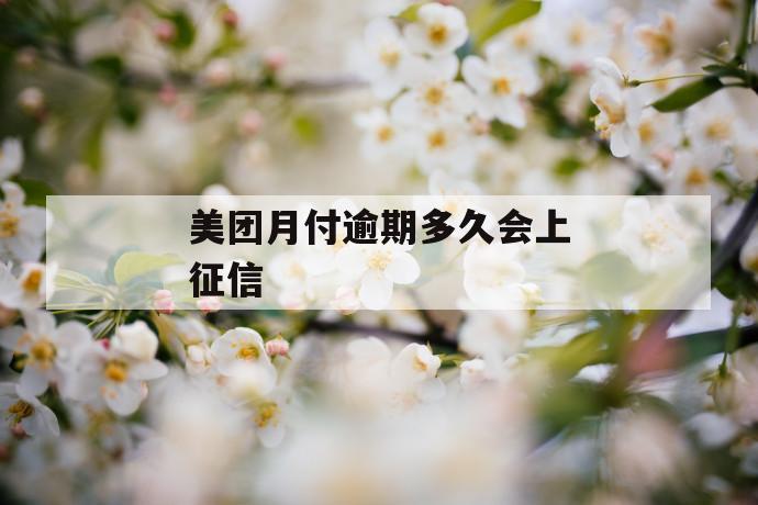美团月付逾期多久会上征信 第1张 美团月付逾期多久会上征信 第1张