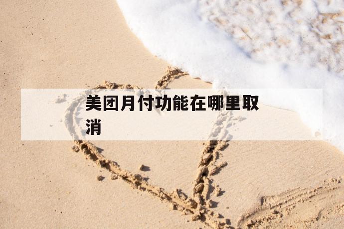 美团月付功能在哪里取消 第1张 美团月付功能在哪里取消 第1张