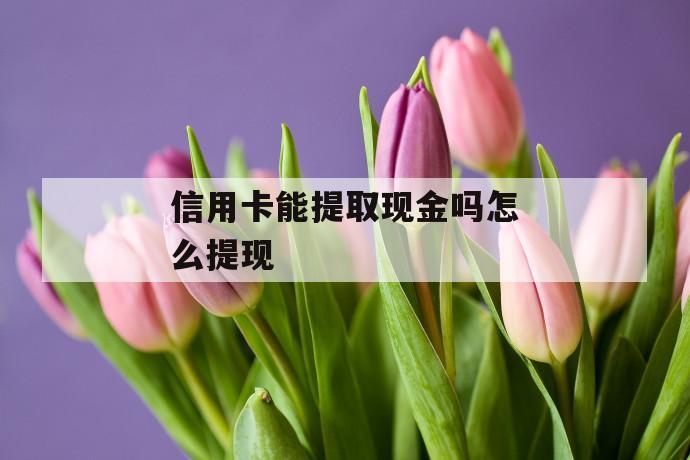 信用卡能提取现金吗怎么提现 第1张 信用卡能提取现金吗怎么提现 第1张