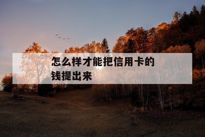 怎么样才能把信用卡的钱提出来 第1张 怎么样才能把信用卡的钱提出来 第1张