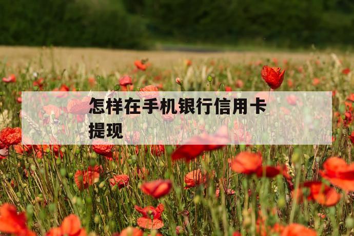 怎样在手机银行信用卡提现 第1张 怎样在手机银行信用卡提现 第1张