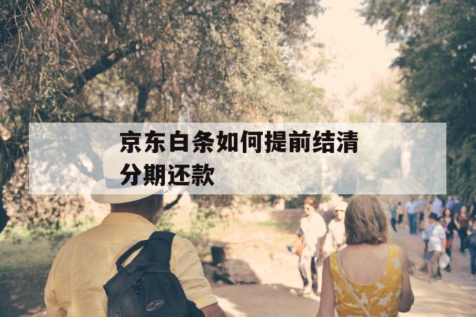 京东白条如何提前结清分期还款 第1张 京东白条如何提前结清分期还款 第1张