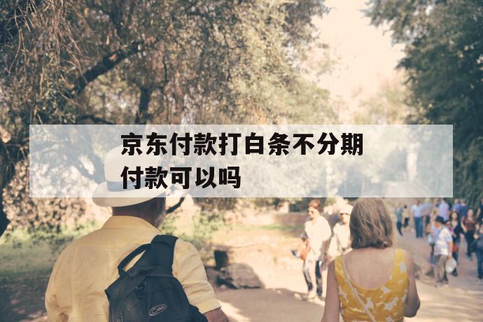 京东付款打白条不分期付款可以吗 第1张 京东付款打白条不分期付款可以吗 第1张