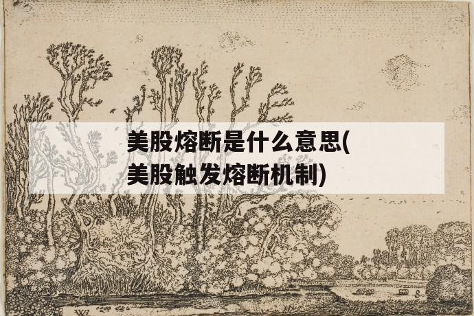 美股熔断是什么意思(美股触发熔断机制) 第1张 美股熔断是什么意思(美股触发熔断机制) 第1张