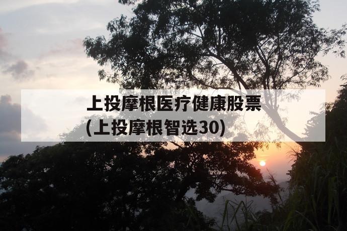 上投摩根医疗健康股票(上投摩根智选30)