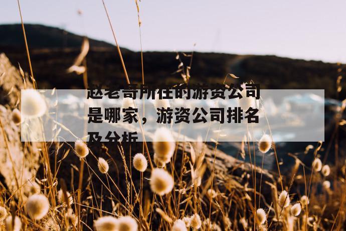赵老哥所在的游资公司是哪家,游资公司排名及分析 第1张 赵老哥所在的游资公司是哪家,游资公司排名及分析 第1张