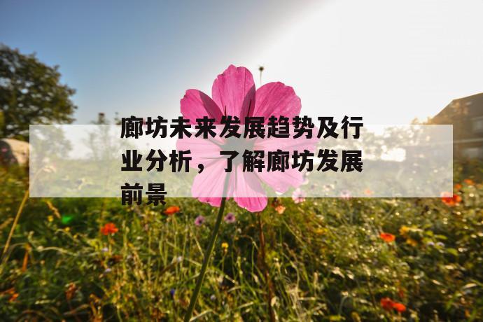 廊坊未来发展趋势及行业分析,了解廊坊发展前景 第1张 廊坊未来发展趋势及行业分析,了解廊坊发展前景 第1张
