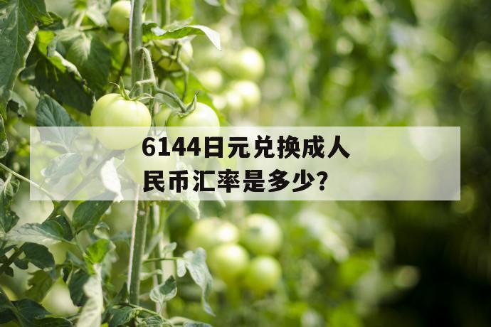 6144日元兑换成人民币汇率是多少？ 第1张