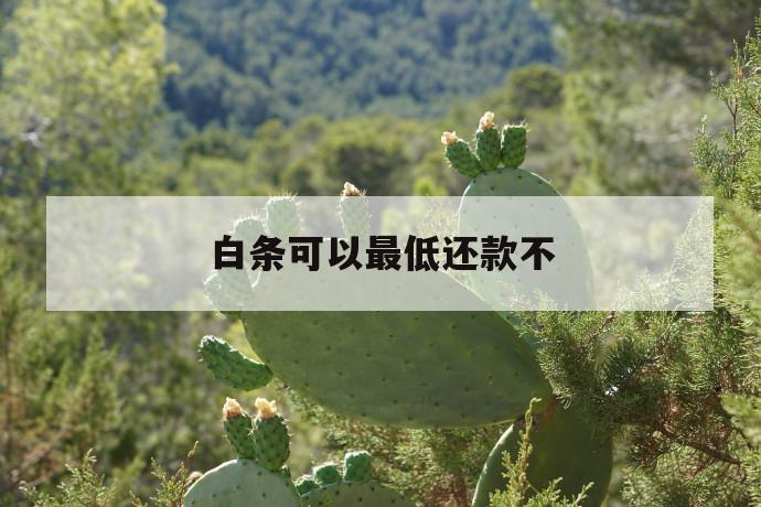 白条可以最低还款不 第1张 白条可以最低还款不 第1张