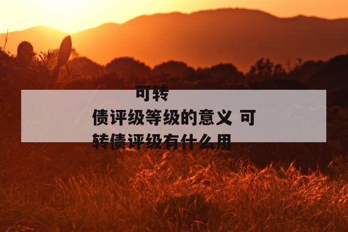 可转债评级等级的意义 可转债评级有什么用
可转债评级等级的意义 可转债评级有什么用