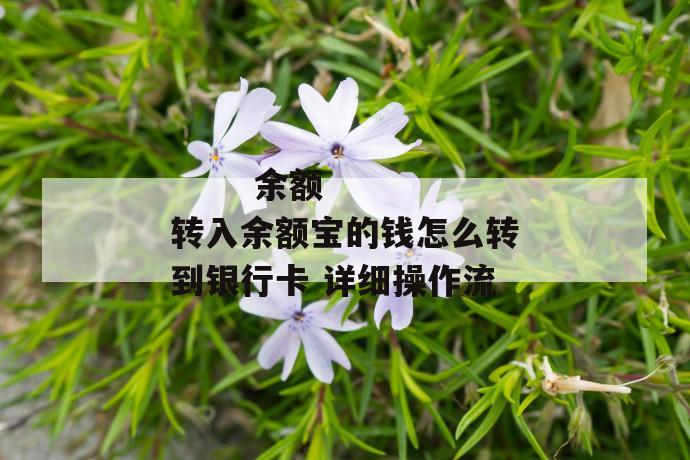 余额转入余额宝的钱怎么转到银行卡 详细操作流
余额转入余额宝的钱怎么转到银行卡 详细操作流