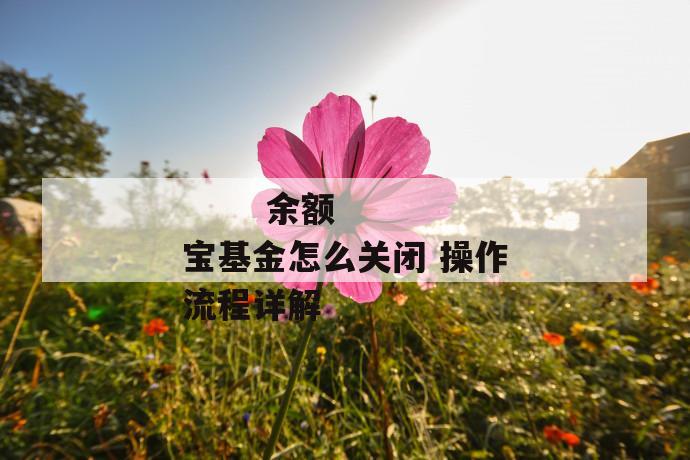 余额宝基金怎么关闭 操作流程详解
余额宝基金怎么关闭 操作流程详解