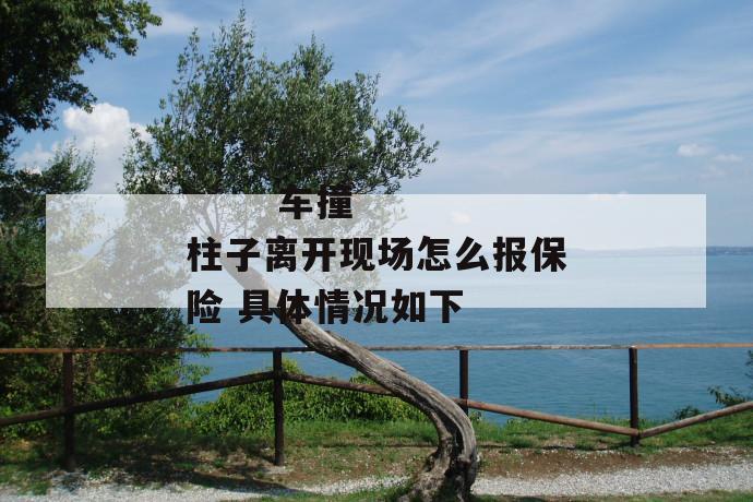 车撞柱子离开现场怎么报保险 具体情况如下
车撞柱子离开现场怎么报保险 具体情况如下