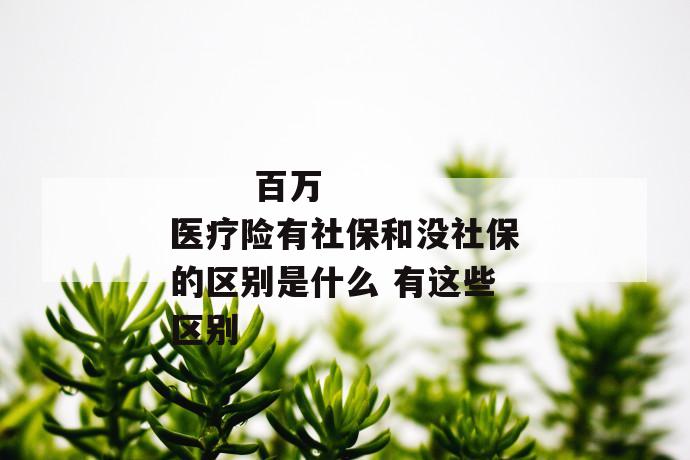 百万医疗险有社保和没社保的区别是什么 有这些区别
百万医疗险有社保和没社保的区别是什么 有这些区别