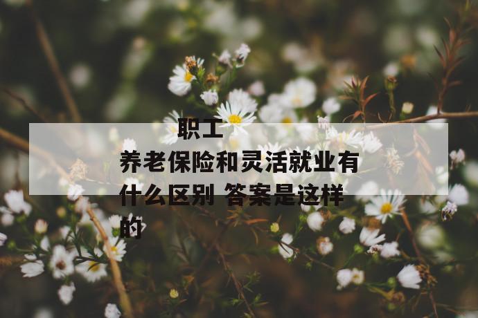 职工养老保险和灵活就业有什么区别 答案是这样的
职工养老保险和灵活就业有什么区别 答案是这样的