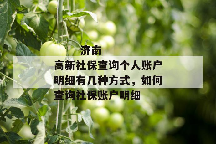 济南高新社保查询个人账户明细有几种方式,如何查询社保账户明细
济南高新社保查询个人账户明细有几种方式,如何查询社保账户明细