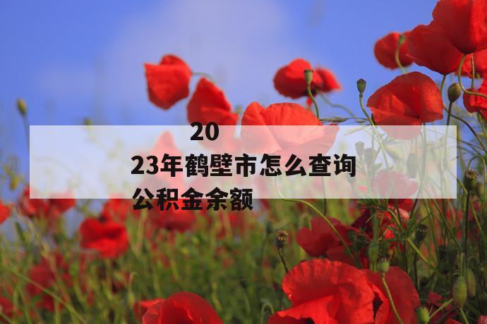 2023年鹤壁市怎么查询公积金余额
2023年鹤壁市怎么查询公积金余额