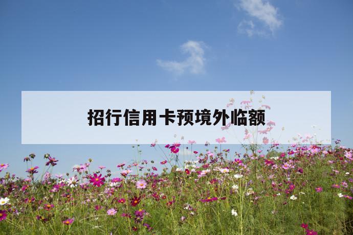 招行信用卡预境外临额 第1张 招行信用卡预境外临额 第1张
