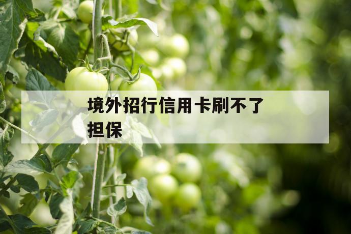 境外招行信用卡刷不了担保 第1张 境外招行信用卡刷不了担保 第1张