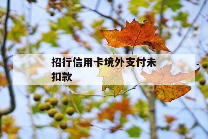 招行信用卡境外支付未扣款 第1张 招行信用卡境外支付未扣款 第1张