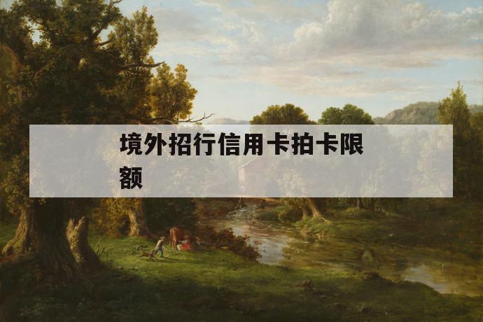 境外招行信用卡拍卡限额 第1张 境外招行信用卡拍卡限额 第1张